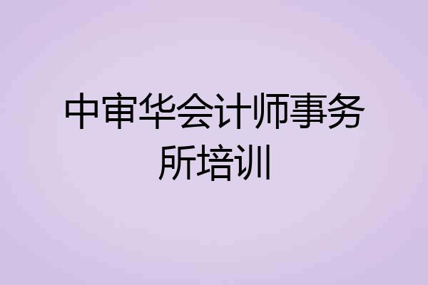 中审华会计师事务所培训