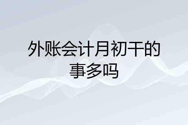 外账会计月初干的事多吗