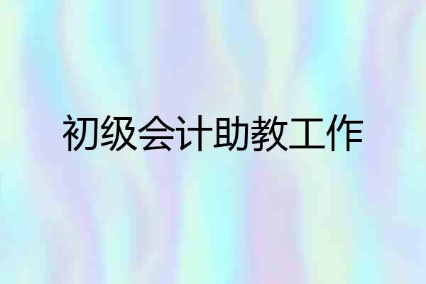 初级会计助教工作