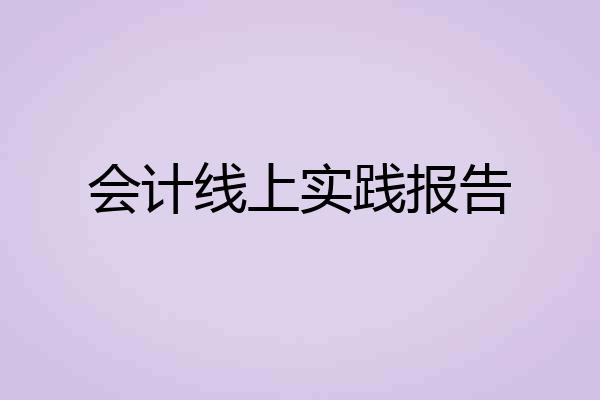会计线上实践报告
