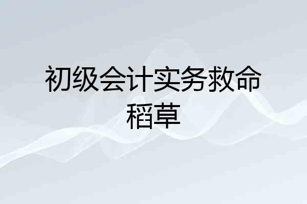 初级会计实务救命稻草