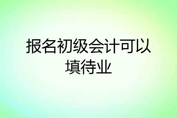 报名初级会计可以填待业