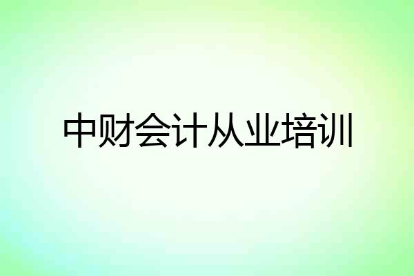 中财会计从业培训