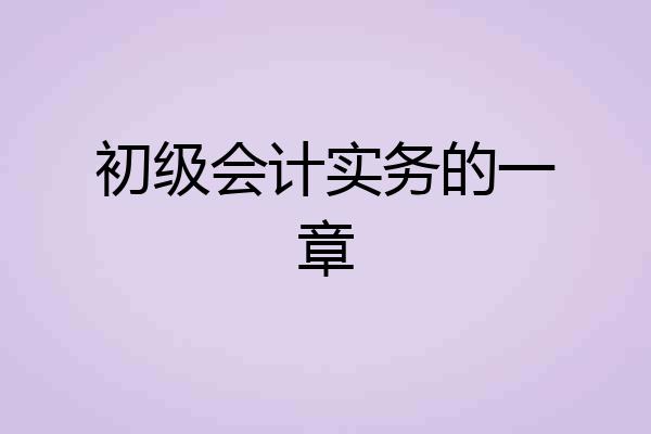 初级会计实务的一章
