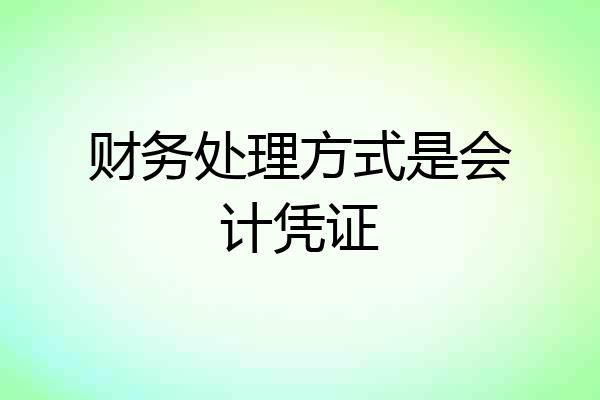 财务处理方式是会计凭证