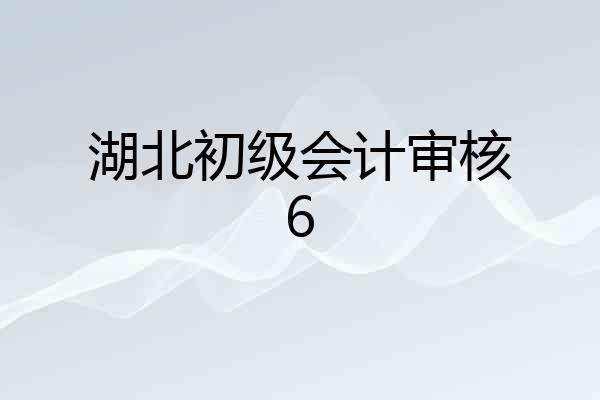湖北初级会计审核6