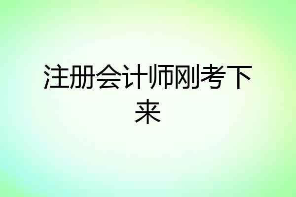 注册会计师刚考下来