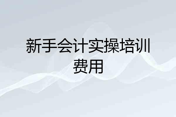 新手会计实操培训费用