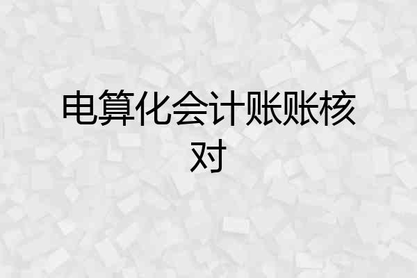 电算化会计账账核对