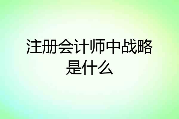 注册会计师中战略是什么