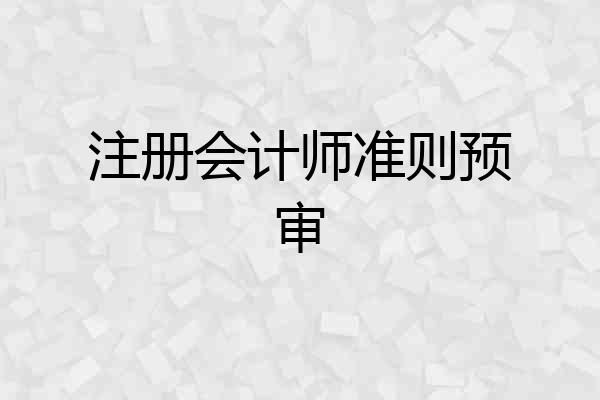 注册会计师准则预审
