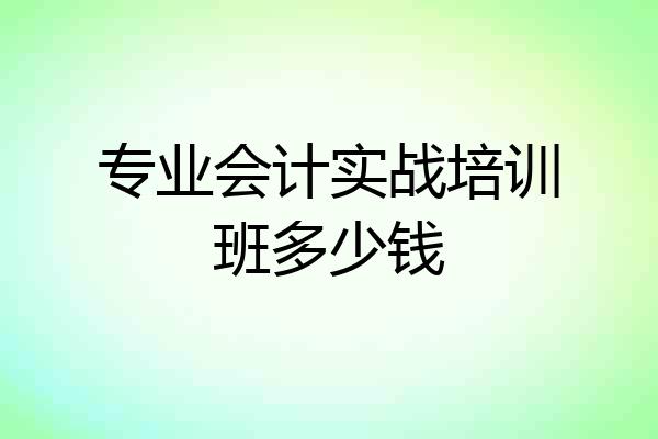 专业会计实战培训班多少钱