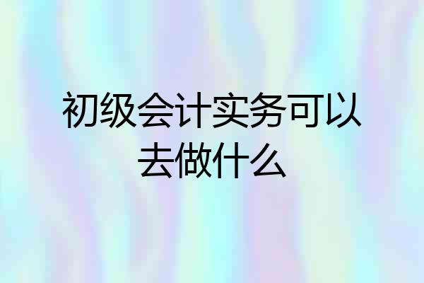 初级会计实务可以去做什么