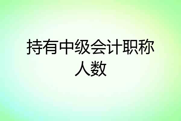持有中级会计职称人数