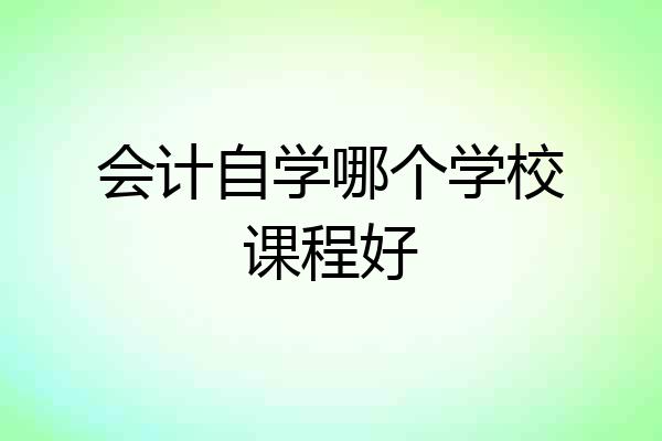 会计自学哪个学校课程好