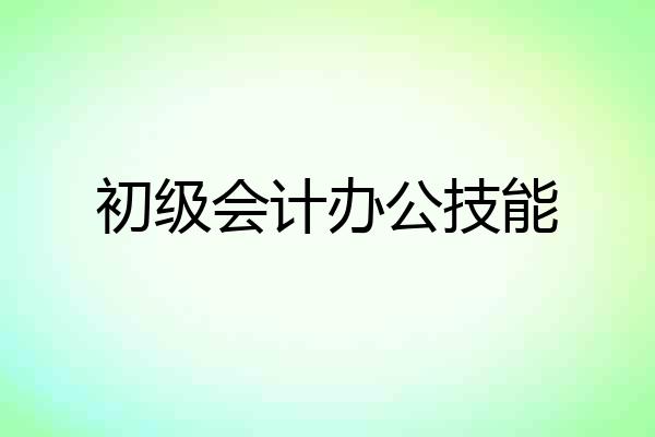 初级会计办公技能