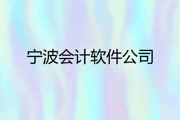 宁波会计软件公司