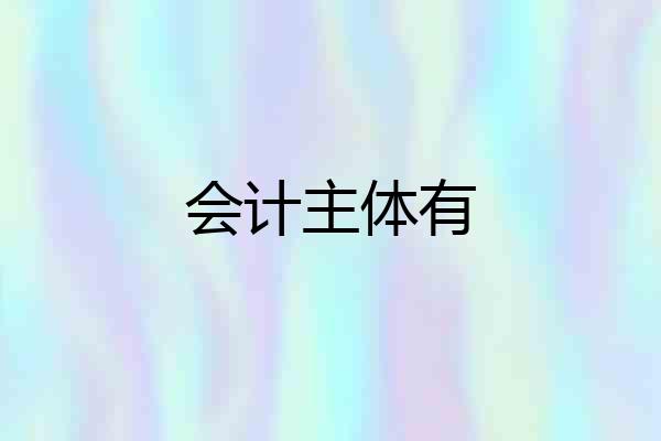 会计主体有