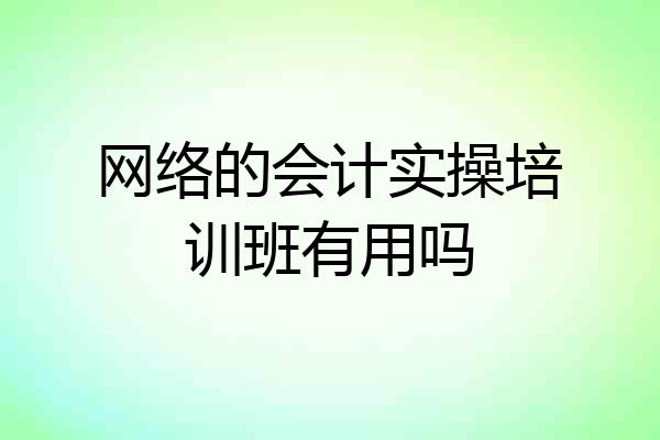 网络的会计实操培训班有用吗