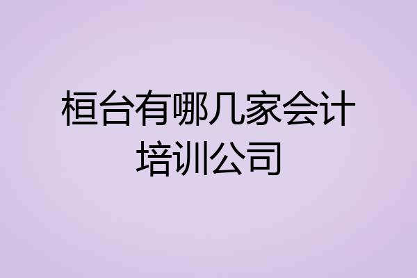 桓台有哪几家会计培训公司