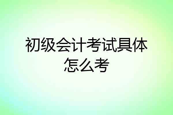初级会计考试具体怎么考