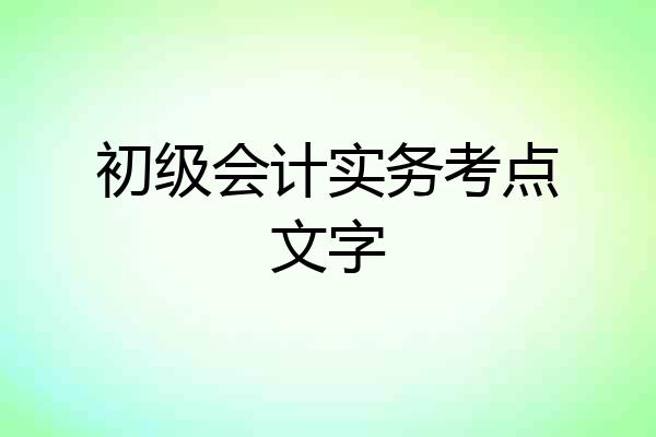 初级会计实务考点文字