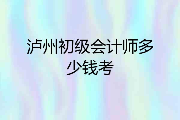 泸州初级会计师多少钱考