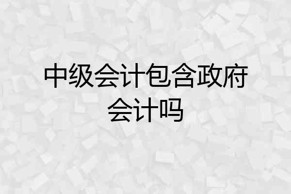 中级会计包含政府会计吗
