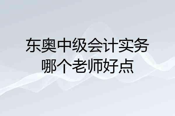 东奥中级会计实务哪个老师好点