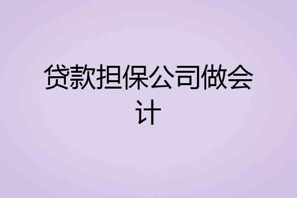 贷款担保公司做会计