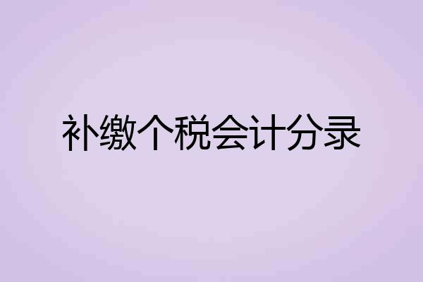 补缴个税会计分录