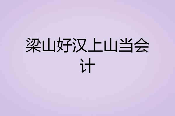 梁山好汉上山当会计