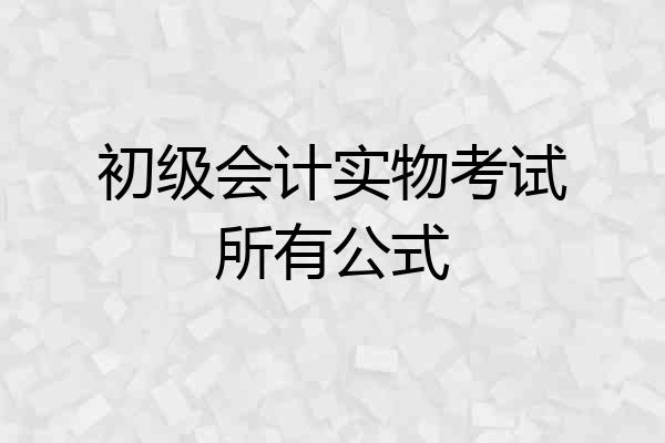 初级会计实物考试所有公式