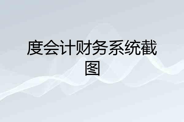 度会计财务系统截图