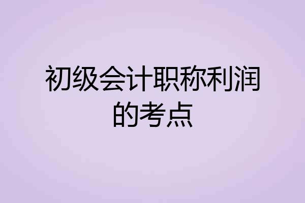 初级会计职称利润的考点