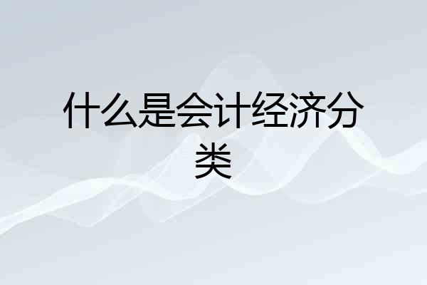 什么是会计经济分类