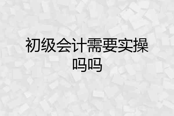 初级会计需要实操吗吗
