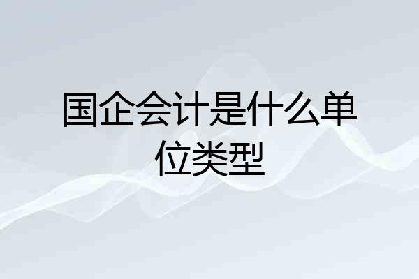 国企会计是什么单位类型