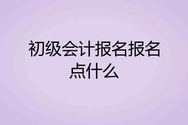 初级会计报名报名点什么