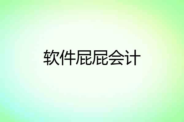 软件屁屁会计