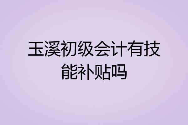 玉溪初级会计有技能补贴吗