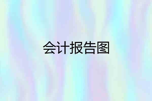 会计报告图