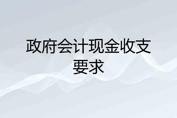 政府会计现金收支要求