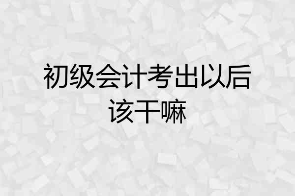 初级会计考出以后该干嘛