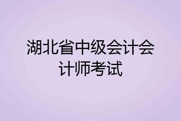 湖北省中级会计会计师考试