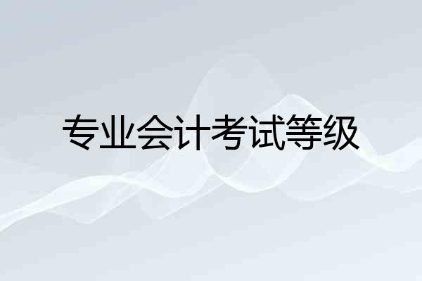专业会计考试等级