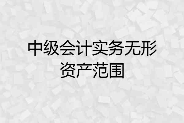 中级会计实务无形资产范围
