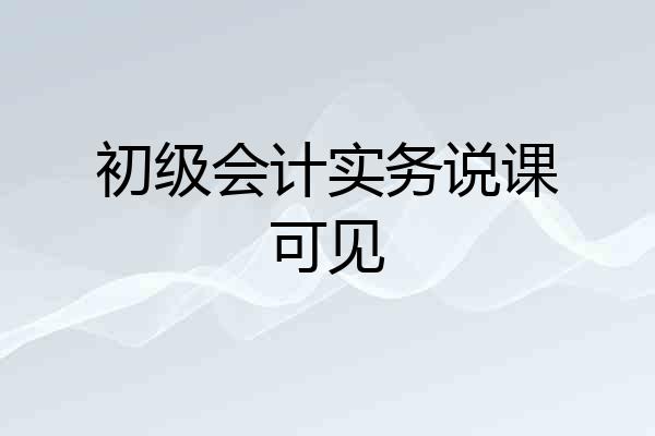 初级会计实务说课可见