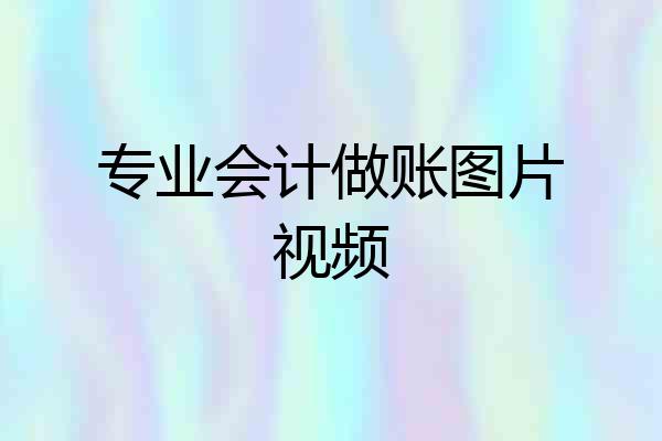 专业会计做账图片视频