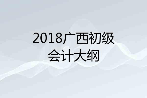 2018广西初级会计大纲